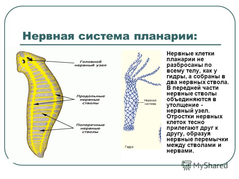 Кракен телеграм каналы