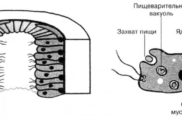 Kra36cc