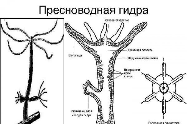 Кракен что это за сайт